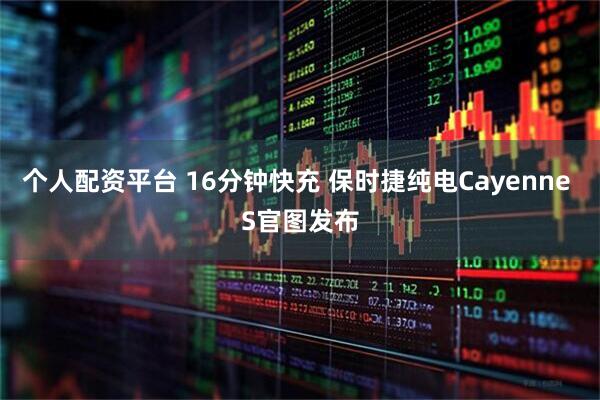 个人配资平台 16分钟快充 保时捷纯电Cayenne S官图发布