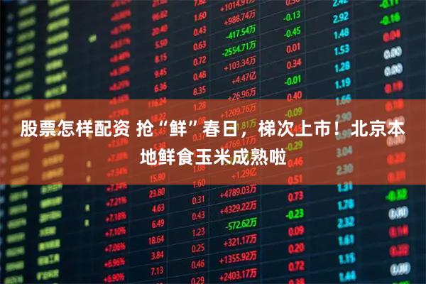 股票怎样配资 抢“鲜”春日，梯次上市！北京本地鲜食玉米成熟啦