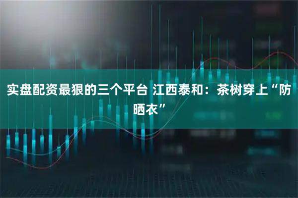 实盘配资最狠的三个平台 江西泰和：茶树穿上“防晒衣”
