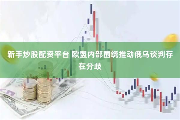 新手炒股配资平台 欧盟内部围绕推动俄乌谈判存在分歧